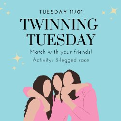 Twinning Day